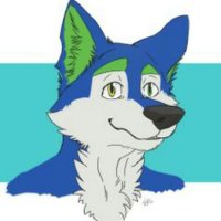 We skipped right over fall, didnt we? (@icarus_an) 's Twitter Profile