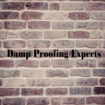 Damp Proofing Expert