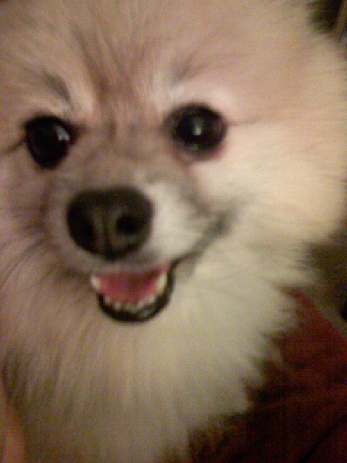 Don't say TREATS unless you mean it!!!!!11
