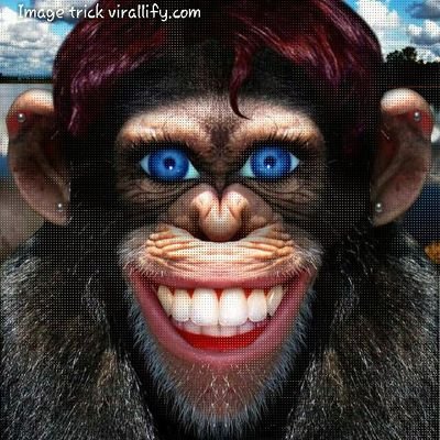 crazzysaif's profile picture. Half Marathoner & good in doin crazzy activities....
