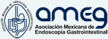 Asoc. Mex Endoscopia