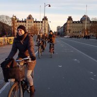 Holly Hixson (@hollyrhixson) 's Twitter Profile