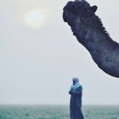 MHXzKMJsQjod6wA's profile picture. 