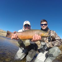 Eric Candelaria (@ericcande) 's Twitter Profile Photo