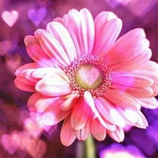 ar_KING00D's profile picture. 