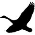 Free Movement (@freemovementlaw) Twitter profile photo Free Movement (@freemovementlaw) Twitter profile photo