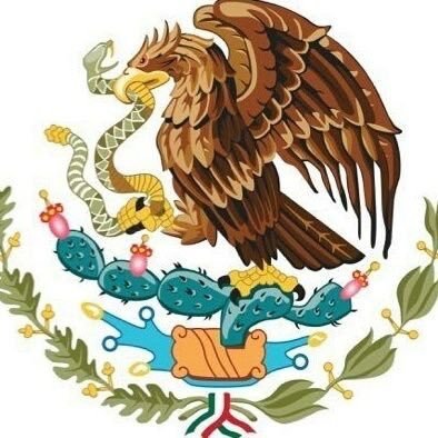 Medico Cirujano Ortopedista ,retirado de la Armada de México, con alta especialidad en Cirugia del pie.