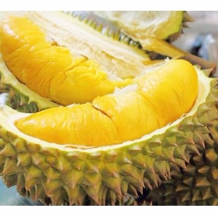 buonbanonline's profile picture. Buôn Bán Trực Tuyến