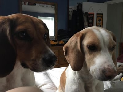 dignamsghost's profile picture. Just another asshole