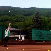 Robertix (@velasken) 's Twitter Profile