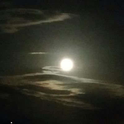 t_god_win82's profile picture. 