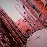 Darylbphotography (@daryl_banther) 's Twitter Profile