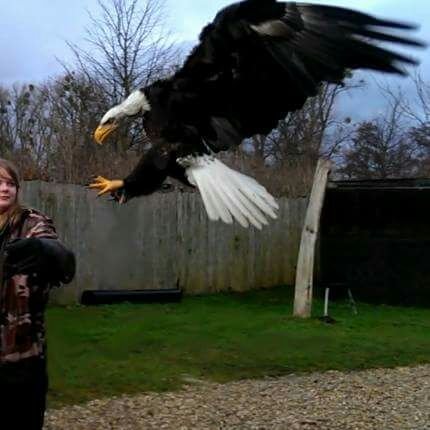 SarahSpies2's profile picture. 