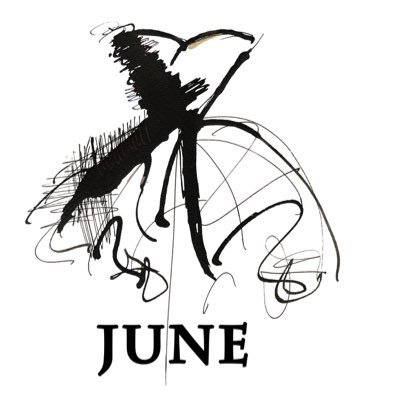 June: an upscale women's resale shop carrying clothing, bags, accessories. And, a shoe room! Buy outright - no appointment necessary!