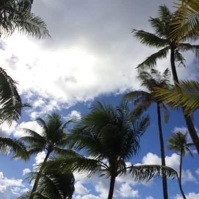 xa22tw's profile picture. Hello