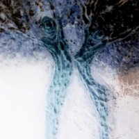 Charlotte (@strongartcanvas) 's Twitter Profile