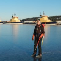 Annelie Hedström (@anneliehedstrom) 's Twitter Profile Photo