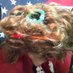 Trump Hair (@trumphair_) Twitter profile photo Trump Hair (@trumphair_) Twitter profile photo