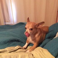 bunbun (@wontforgetmomo) 's Twitter Profile