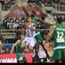 Nenad Miljenovic (@nmiljenovic) Twitter profile photo