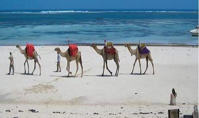 rooble0's profile picture. 