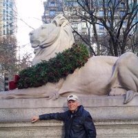 Tom Guadagno (@dailyenghelp) 's Twitter Profile