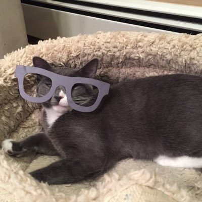 RBPepe1's profile picture. Nobody cares🤔