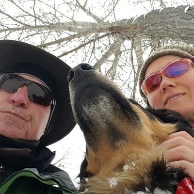 502Sprungc's profile picture. 