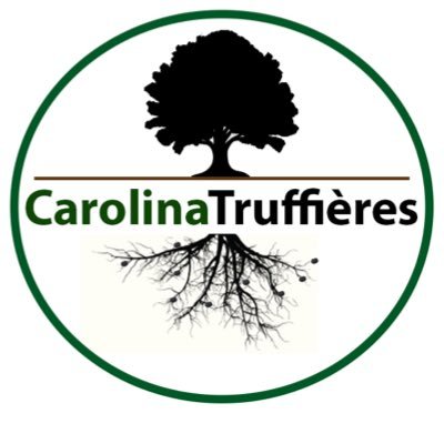 Carolina Truffières