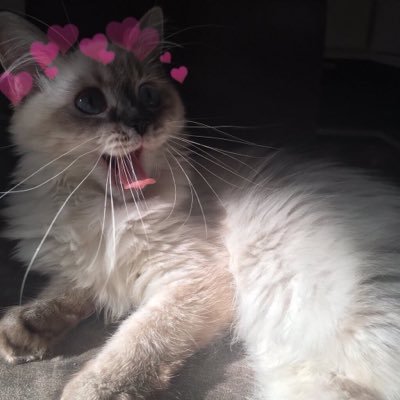 123mine12345's profile picture. 