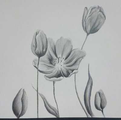 Hebah_3's profile picture. 