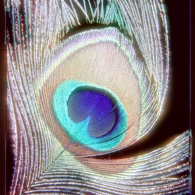 RickDeckard2049's profile picture. Hey, I might say something funny at any time. Do you want to miss it?

@replicnt6@mastodon.world