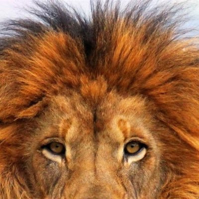 thinkitout78's profile picture. think.