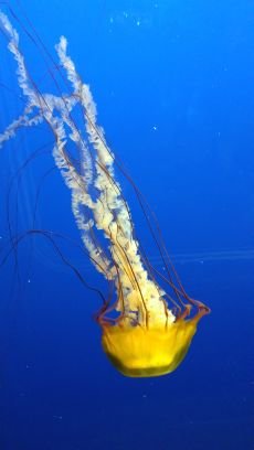 sarahlreece's profile picture. 