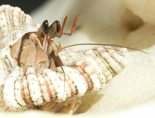 Frans_G's profile picture. Relevante kant van mijn leven