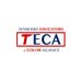 TECA (@tnedcolorallies) Twitter profile photo TECA (@tnedcolorallies) Twitter profile photo