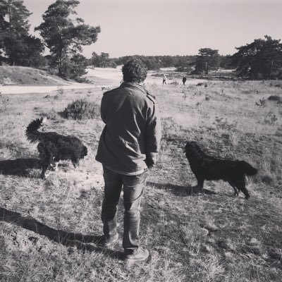 SanderLoffeld's profile picture. Ask me