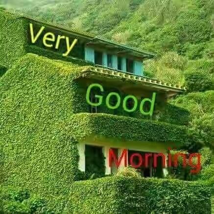 Mukesh65980350's profile picture. Entertainment