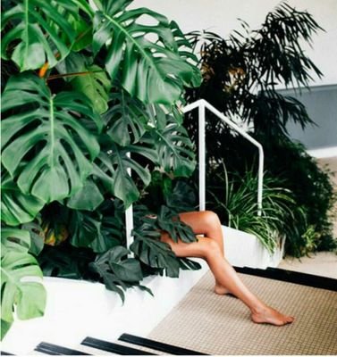 project__health's profile picture. Health. Nature. People.