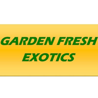 Fresh Produce Retail, Wholesale and Food Service based in Glasgow. - Contact: armaan@gardenfreshexotics.co.uk