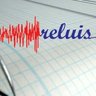 ConsorzioReLUIS's profile picture. La Rete dei Laboratori Universitari di Ingegneria Sismica e strutturale(ReLUIS) è un centro di competenza per il dipartimento della protezione civile italiana.