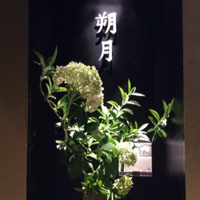 和食鉄板 銀座朔月の公式Twitterでございます。本日の空席情報・Twitter限定特典・旬のおすすめ料理などを発信していきたいと思います。ご予約・お問い合わせは03-5579-9588まで! #朔月