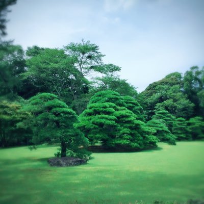 fdisk93's profile picture. 