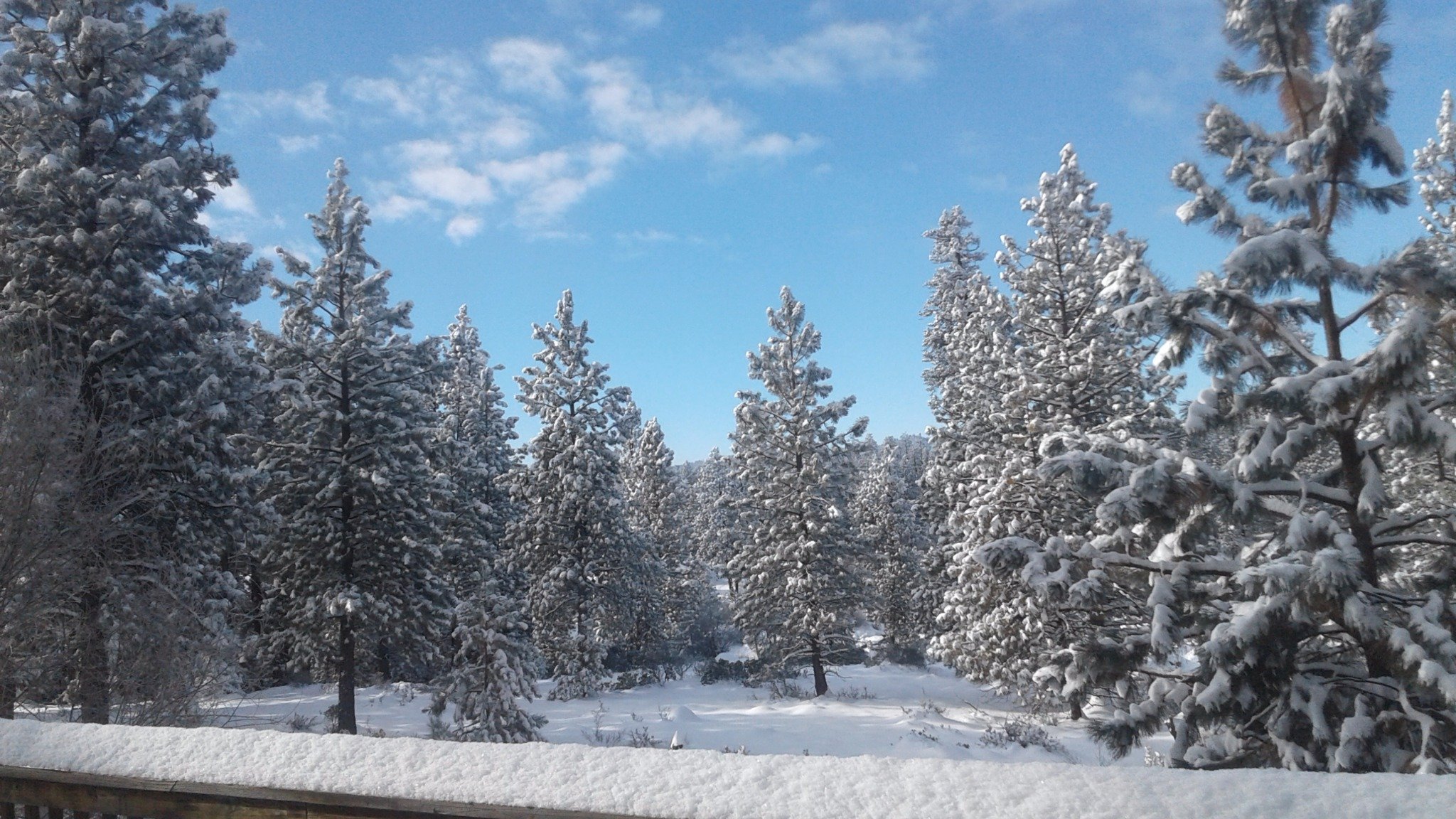 Conniecat13's profile picture. While I may be the first woman in this office, I will not be the last, because every little girl watching tonight sees that this is a country of possibilities.K