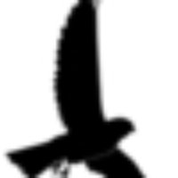 Kestrel Networks (@kestrelnetworks) 's Twitter Profile Photo Kestrel Networks (@kestrelnetworks) 's Twitter Profile Photo