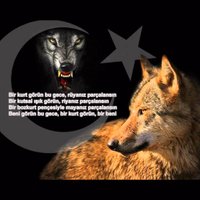 🦁ϜϓſϞ ☆☆Muhsin - 𐰢𐰆𐰴𐰾𐰃𐰤 ☆☆ ϜϓſϞ🦁 (@muhsin_yerlitas) 's Twitter Profile