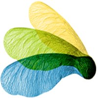 DCU CREATE (@create21dcu) 's Twitter Profile