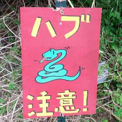 好き→琉球ゴールデンキングス、果物、漬物、クジラ、バイク。