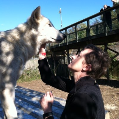 anneknitsinkent's profile picture. Mother of three, avid knitter.