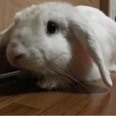 ash121283's profile picture. 